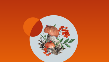 Pilze und Kräuter