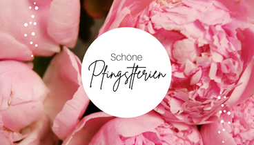 Pfingstrosen